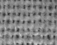 Leinwandgewebe unter dem Mikroskop © public domain