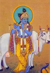  Krishna mit der heiligen Kuh  © public domain